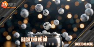 Bạch Thủ Về Bờ - Website Tin Tức Bổ Ích Cho Bet Thủ