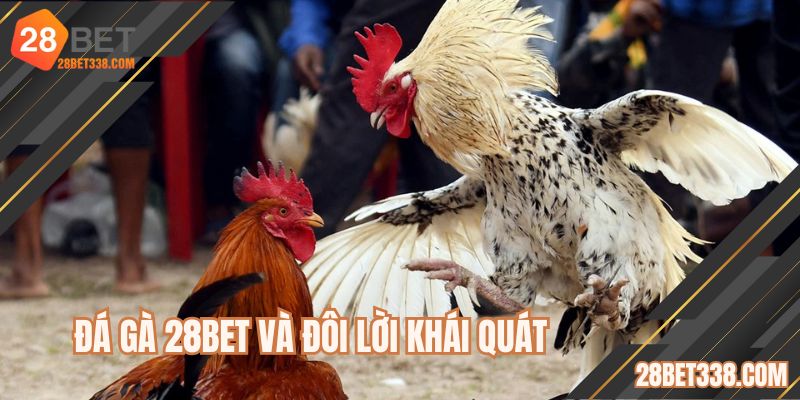 Đá gà 28BET và đôi lời khái quát