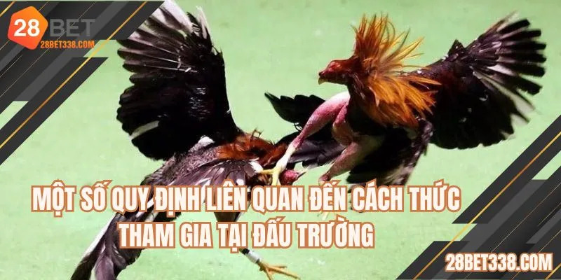 Một số quy định liên quan đến cách thức tham gia tại đấu trường
