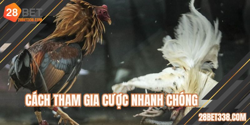 Hướng dẫn rõ luật chơi và cách để tham gia cược