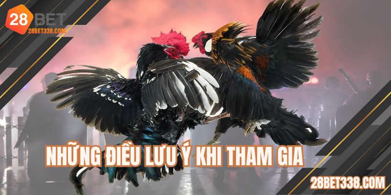 Lưu ý vài điều để trải nghiệm đá gà trực tiếp thomo hôm nay trọn vẹn